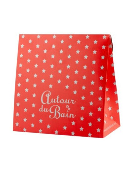 Pochette cadeau Etoiles / Noël