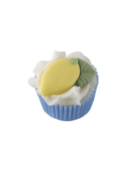 Mini Cupcake Bain/Douche...