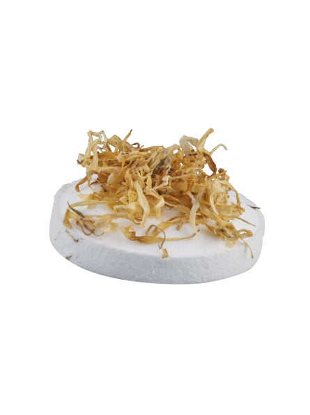 Galet de douche Calendula