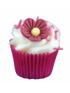 Mini Cupcake Fraisy