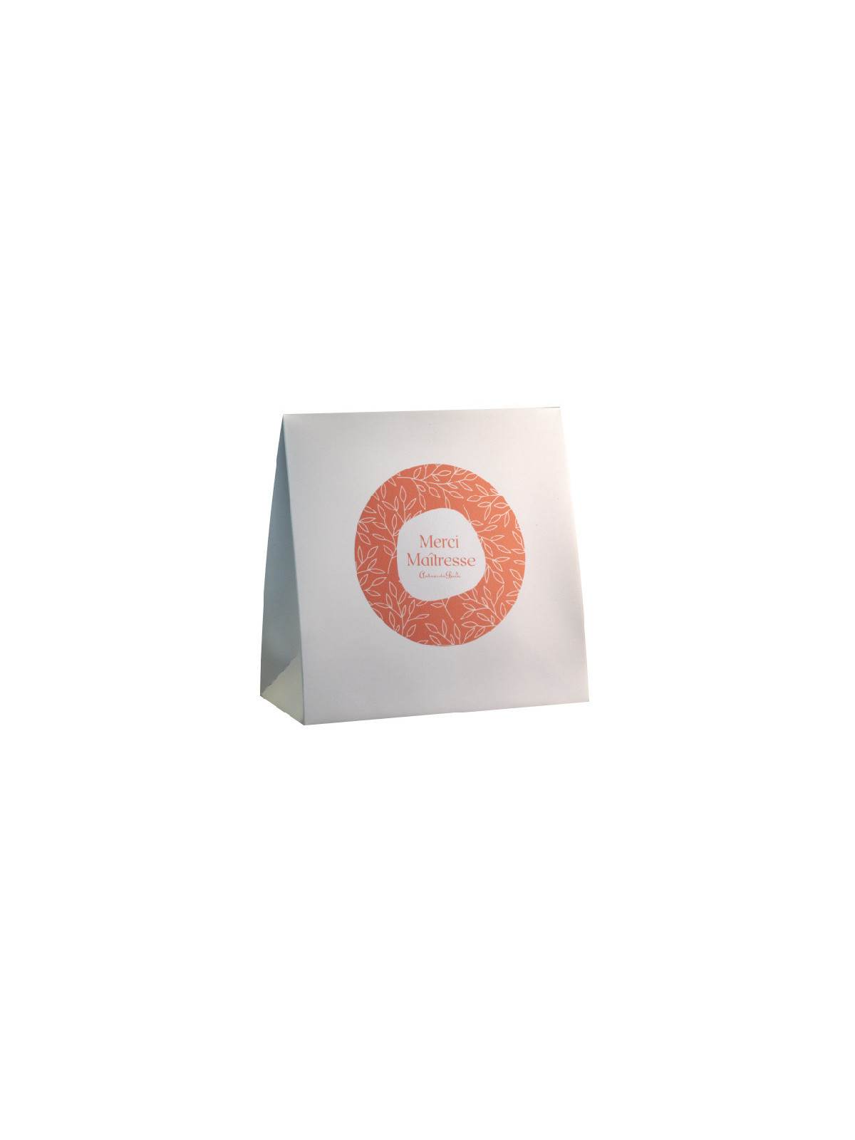 Coffret Vide "Merci Maîtresse"