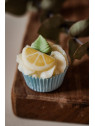 Mini Cupcake Bain/Douche Citron de Menton