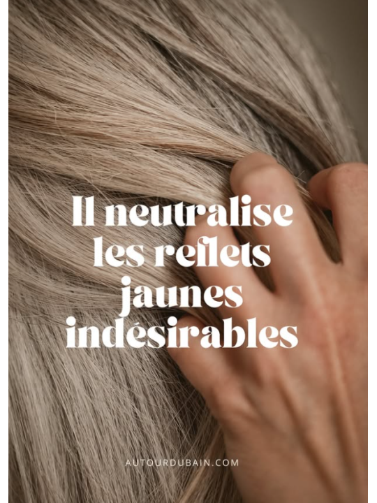 Shampoing Solide Anti-Jaunissement Cheveux Blonds ou Gris - Le Violet