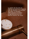 Galet de douche Rose de Damas - 40g