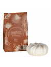 Baume Solide Nourrissant CASABLANCA | Argan Bio & Noisette de Gascogne