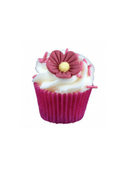 Mini Cupcake Fraisy