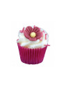 Mini Cupcake Fraisy