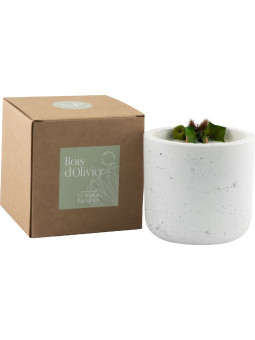 copy of Bougie Cuir & Fir,...